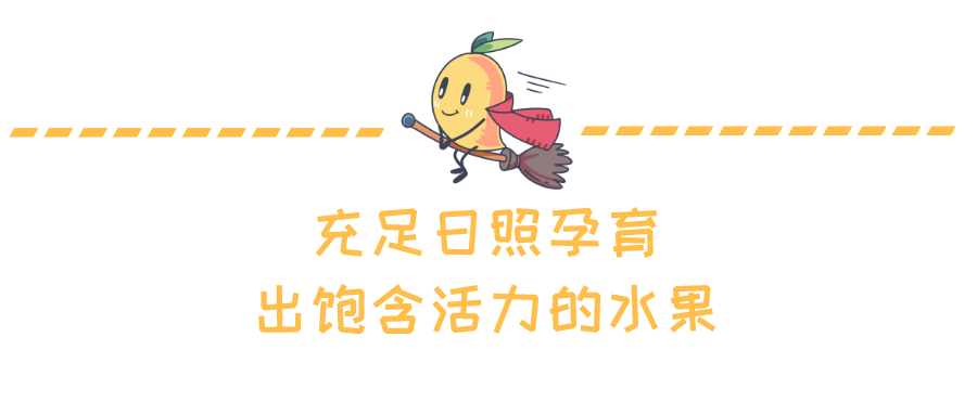 6.png